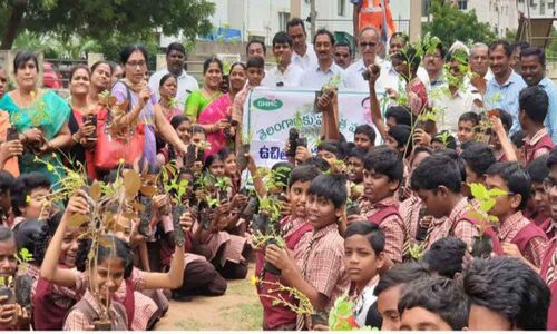 Tree plantation drive conducted