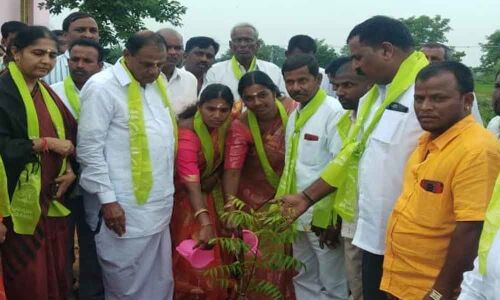 Haritha Haram held