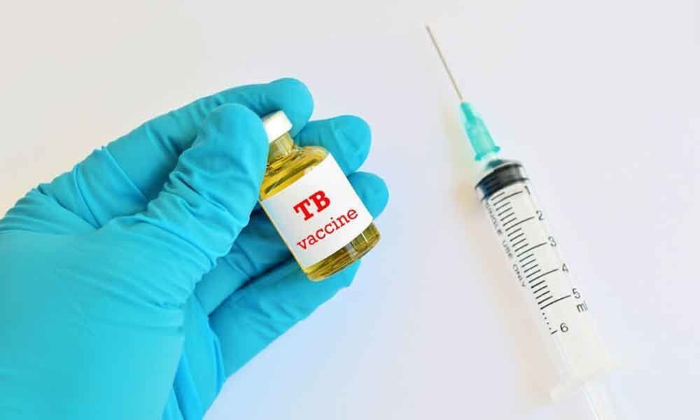 New tuberculosis vaccine shows promise