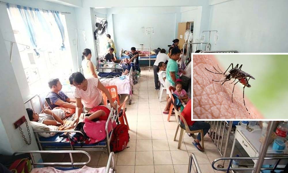 Congress slams authorities for rise in Dengue, Malaria cases