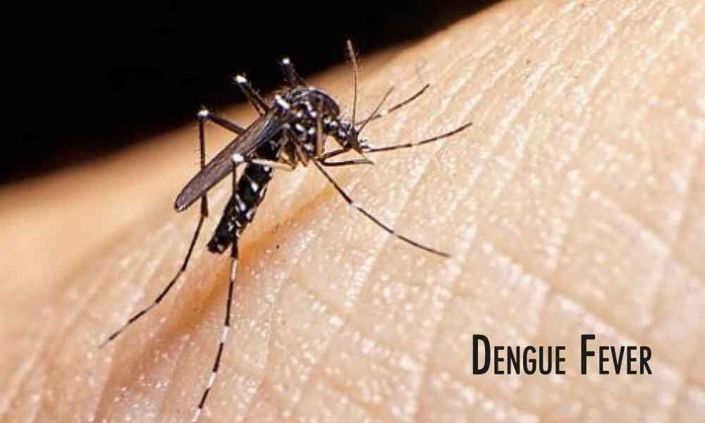 Four PG doctors of Niloufer down with Dengue