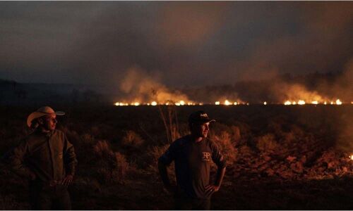 Why is part of the Amazon burning? Here is what experts have to say