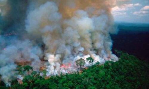 After global outcry, Brazil sends Army to put out Amazon rainforest fires