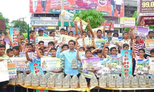 Alphores students create awareness on clay Ganesh idols