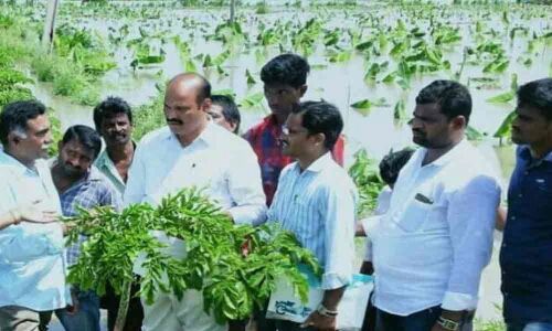 Enumeration of crop loss underway in flood-hit areas