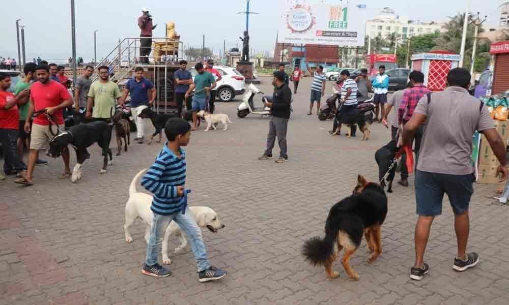Dog show draws huge crowd in Visakhapatnam