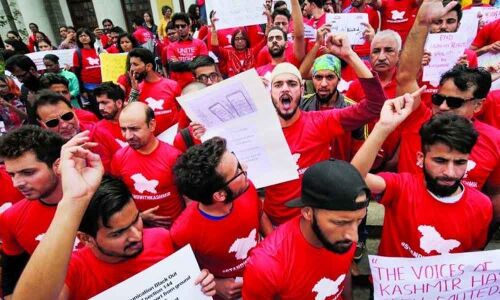 Kashmiri Pandits hold rally in US to support revocation of Article 370