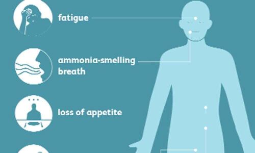 Chronic kidney disease patients must avoid too much phosphorus