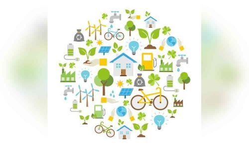 Students give Goa B-school lessons in sustainability