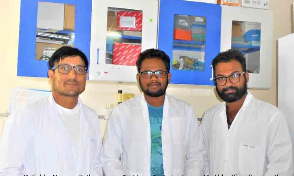 IIT-H researchers produce collagen for stem cell-based tissue engineering