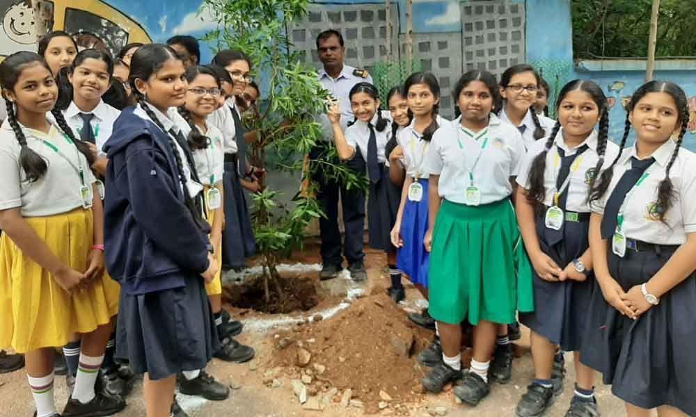 Pallavi Model School holds Haritha Haram