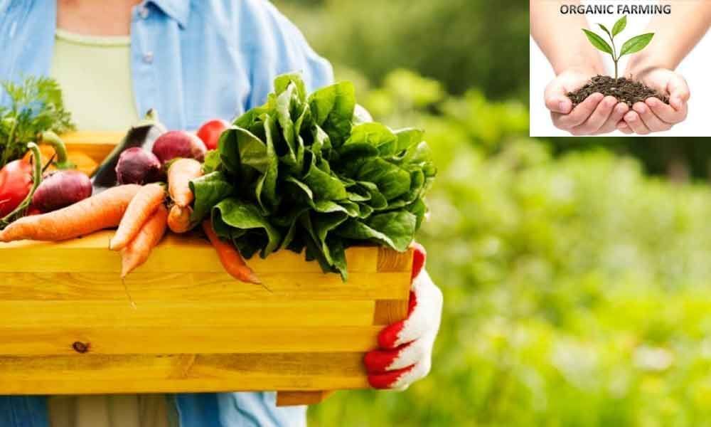 What is Organic Farming? And its importance