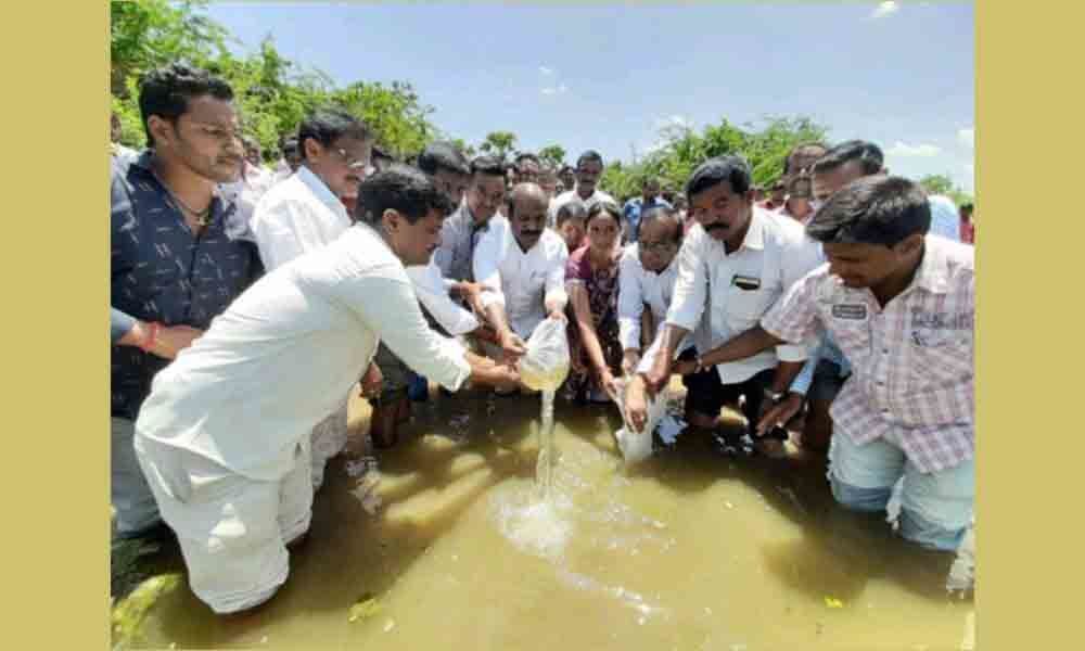 Nalgonda: Fishlings released into Duginelly pond