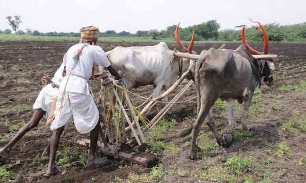 Farmers seek crop loan waiver at one go