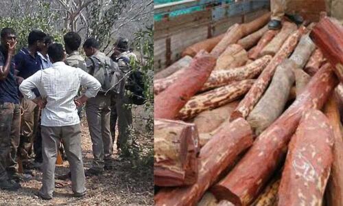Red sandalwood smugglers attack police in Seshachalam forest area