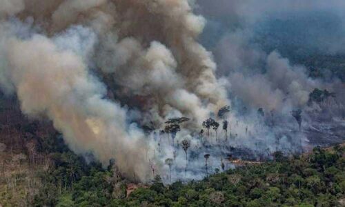 Amazon fires: Brazil rejects G7 offer of 20 million dollar aid