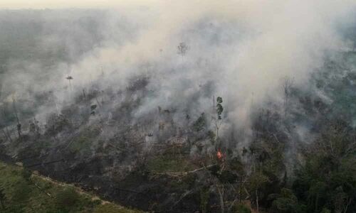 Brazil rejects G7 aid for Amazon fires