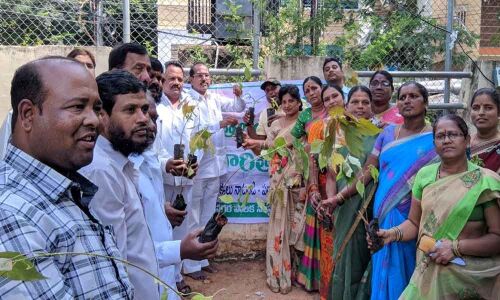 Plantation drive at Hal Park conducted
