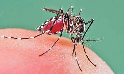 Dengue burns hole in patients pockets