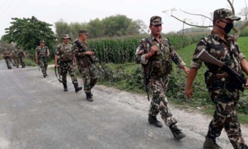 BSF crushes crime syndicates; cattle smuggling drops by 96%