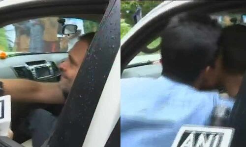 Watch: Man kisses Rahul Gandhi during Wayanad visit