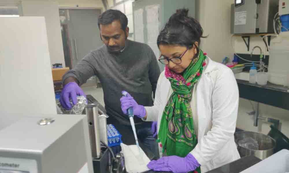 IIT-H develops water repellent material using fly ash