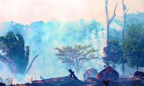 Brazil environment agency funds on the fall since January 1