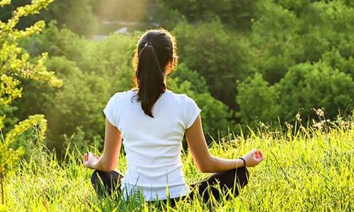 Interact with nature to reduce stress