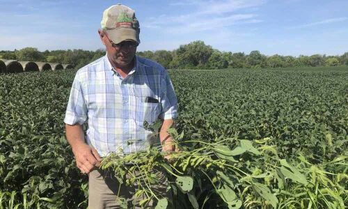 Farmers loyalty to Trump tested over new corn-ethanol rules