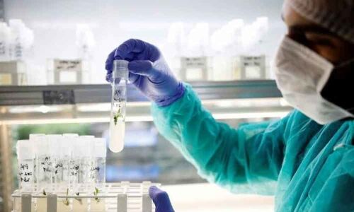 FDA issues warning letter to Lantech Pharma