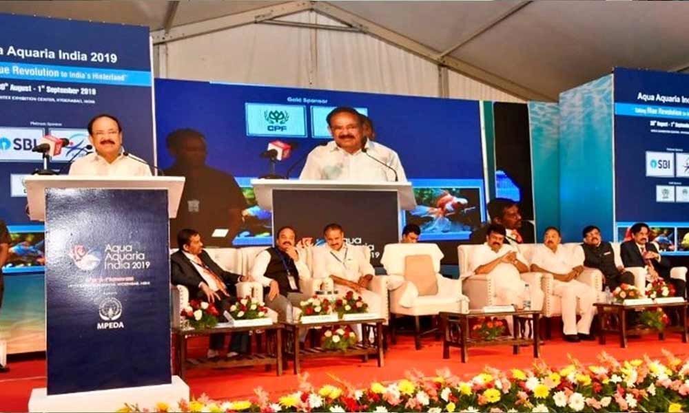 Concerns of marine and fresh water pollution must be addressed on priority basis: Vice President