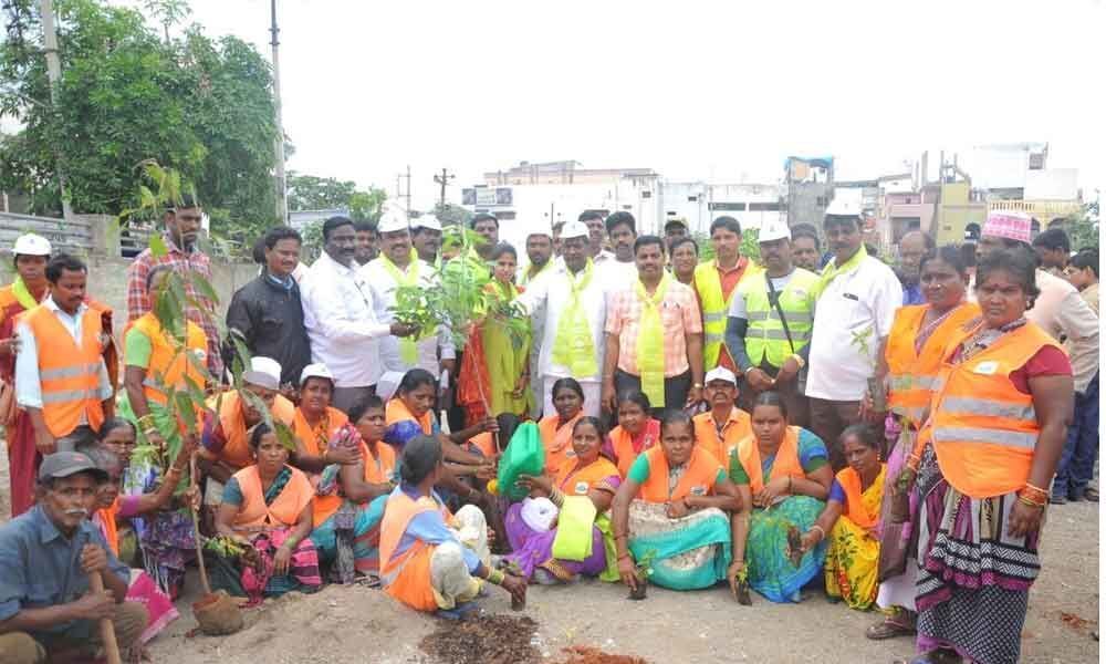 Utmost priority given to tree plantation: Padma Rao