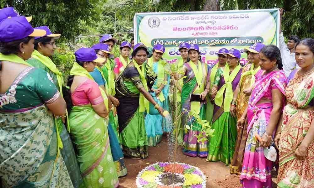Ladies Club members plant saplings in Khammam
