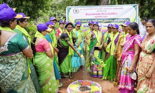 Ladies Club members plant saplings in Khammam