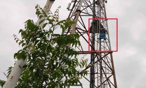 Woman climbs cell tower to protest injustice