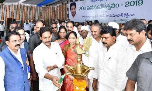 25 crore saplings to be planted in State before March end