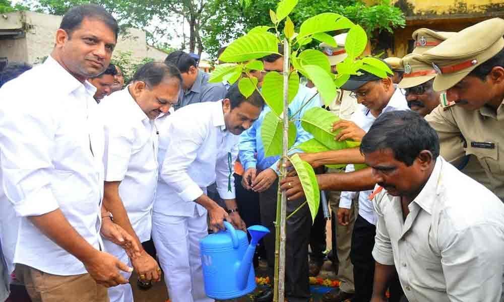 10 lakh saplings to be planted in district:  Deputy CM Alla Nani