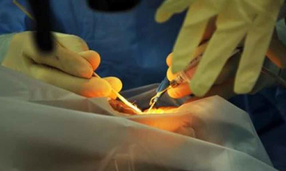 Mobile flashlight used to stitch patient in Uttar Pradesh