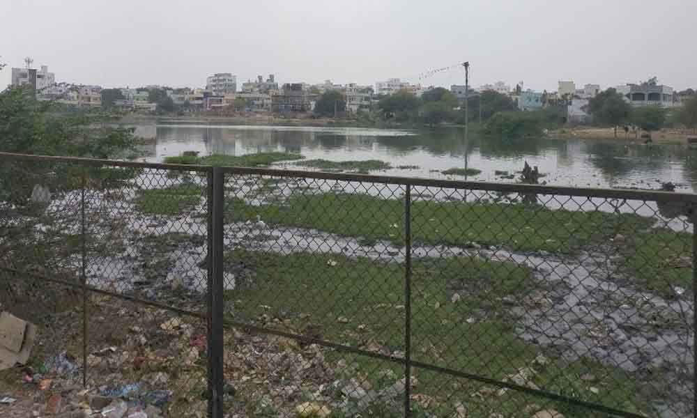 Pollution of Water Bodies : Alwal residents raise pitch for STP