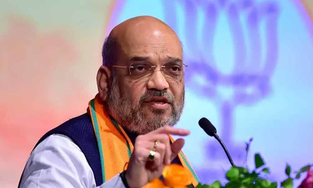 Amit Shah Meets Maharashtra BJP Leaders, Keeps Away From Ally Sena