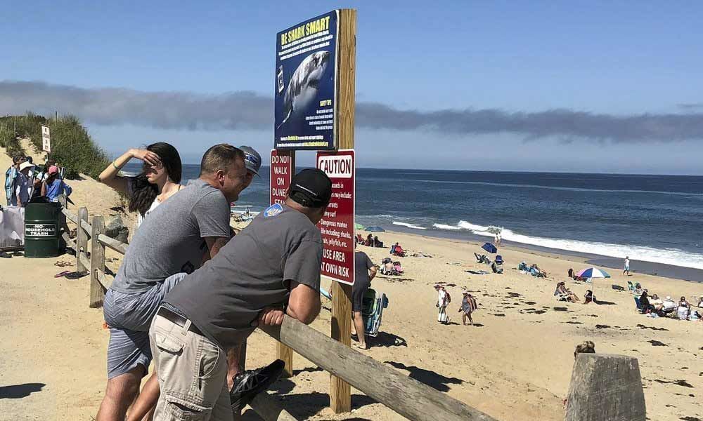 Sharks, tornadoes and taxes: Cape Cods had a tough summer