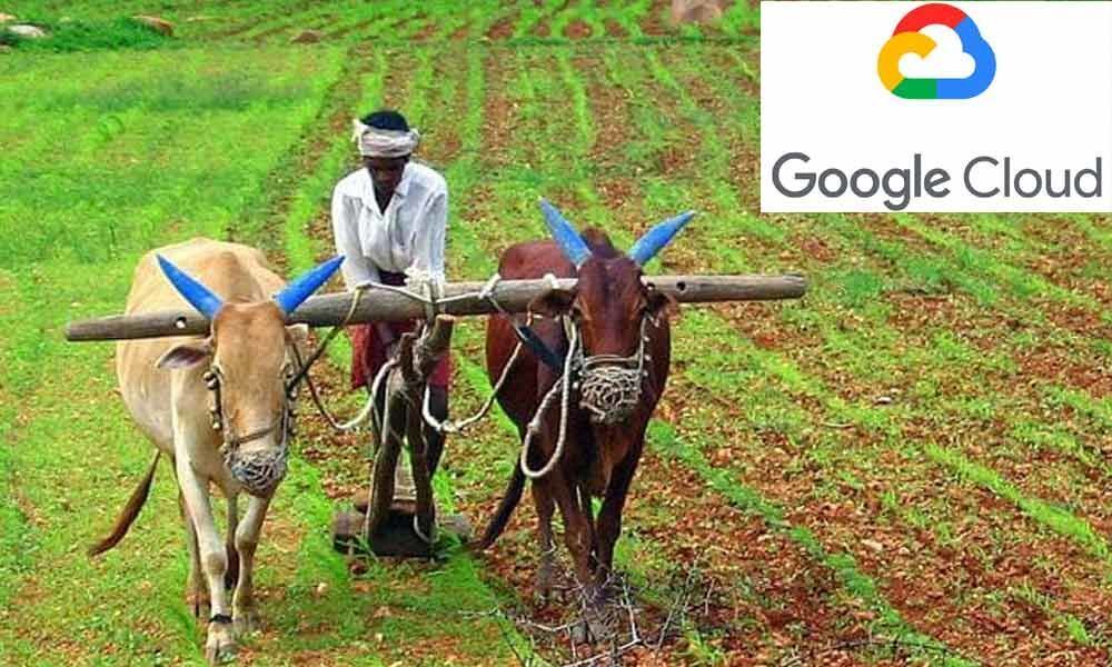 Machine Learning based app on Google Cloud aids small farmers in India