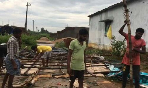 Elephant menace in villages