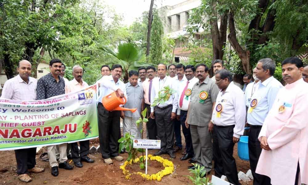 Planting trees should be considered as social responsibility- deputy conservator of forests