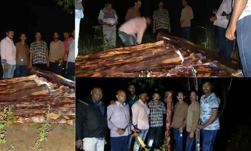 27 redsander logs recovered from Balapalli forest area