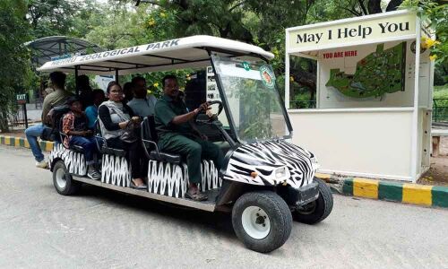 Zoo sees huge demand for battery-run vehicles