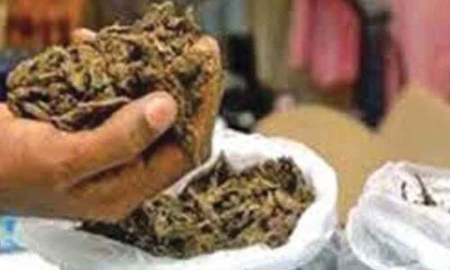 Three peddlers held with 20kg ganja