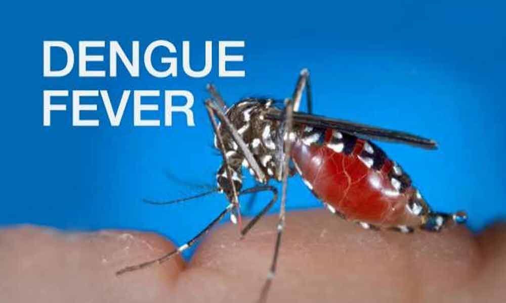 After teens death, now 5-year-old dies of dengue in Hyderabad