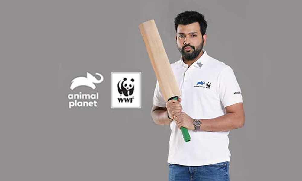 Rohit Sharma launches campaign to conserve rhinos