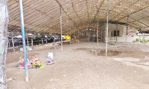 Plaster of Paris still rules the roost